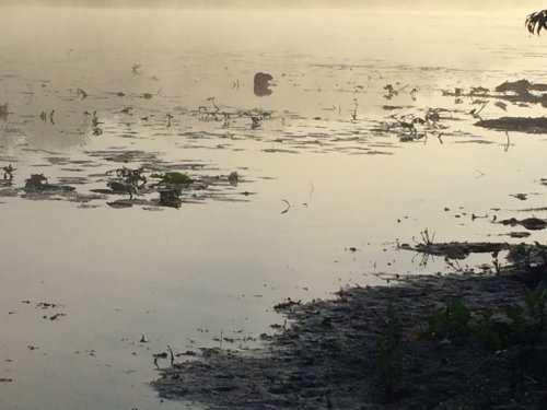 Туман, вода, сентябрь...