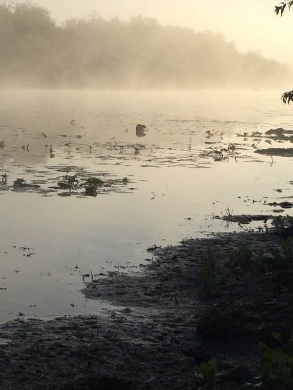Туман, вода, сентябрь...