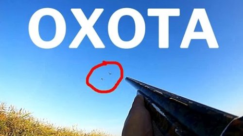 Охота на уток в Новосибирской области - 2016