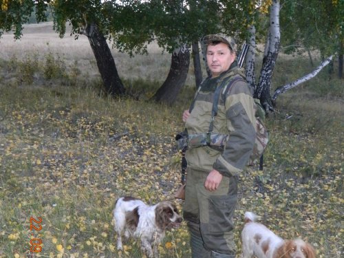 В лесу