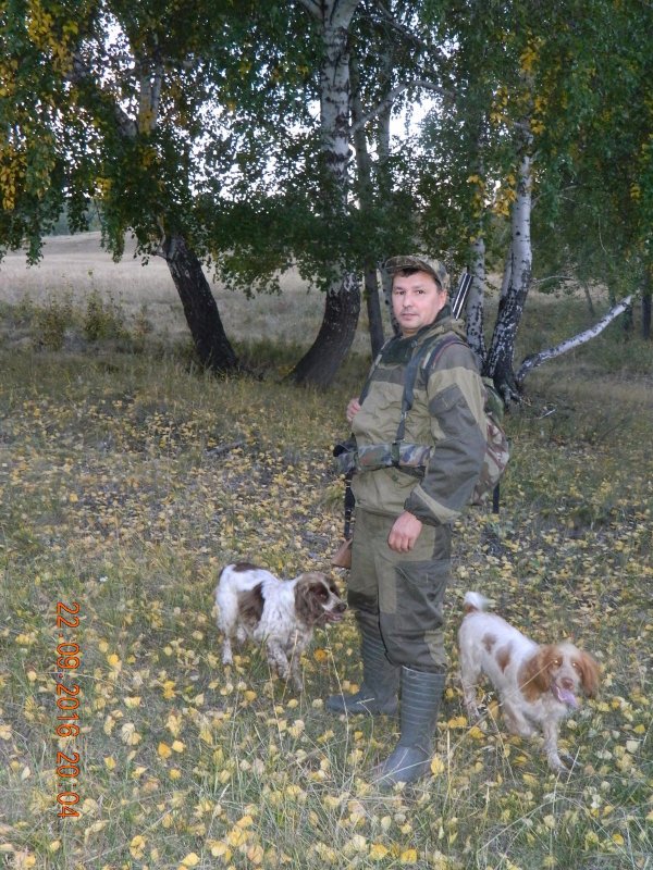 В лесу