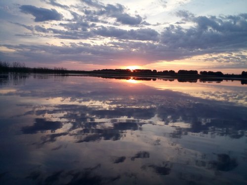 утренняя зорька