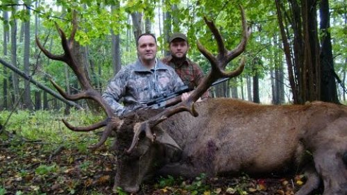 Охота на реву в Беларуси / Hunting during the rut in Belarus (Тизер / teaser)