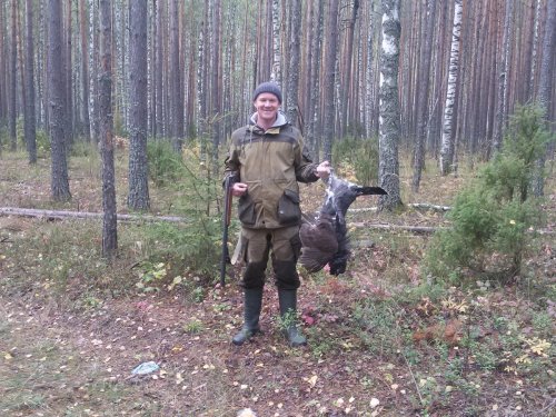 Глухарь