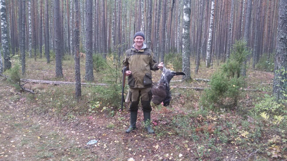 Глухарь
