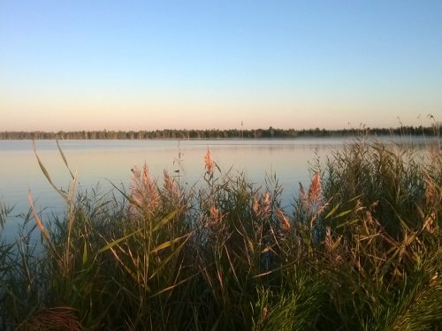 утро на озере