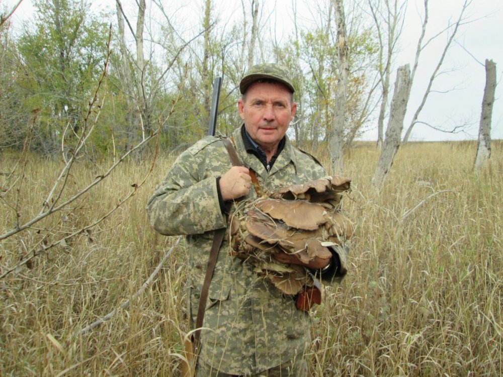 Сдуплетил!