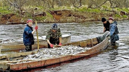 Нетронутые реки  крайнего Севера. Сказочная рыбалка.