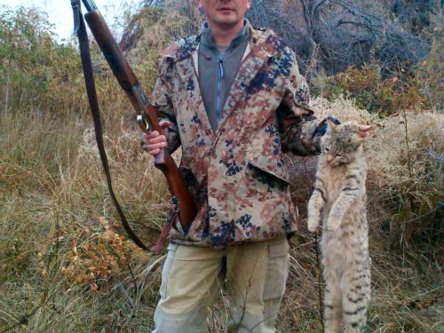 Степной кот