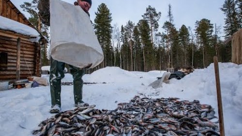 Северная рыбалка. Волчья протока.