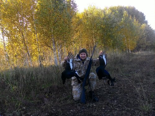 Осень....