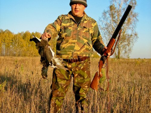 Курёнок