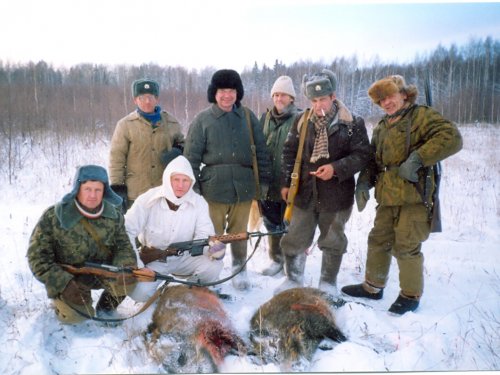 Медведь и лазерный прицел