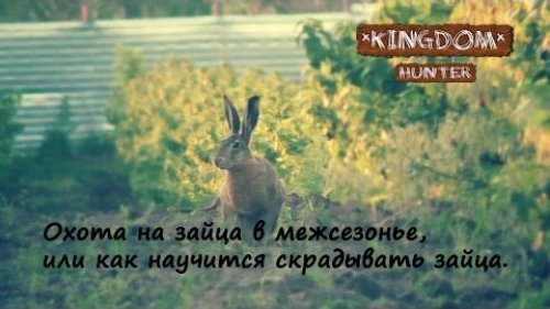 Охота на зайца в межсезонье, или как научиться скрадывать зайца.