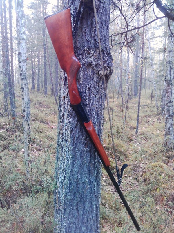 Ружьишко