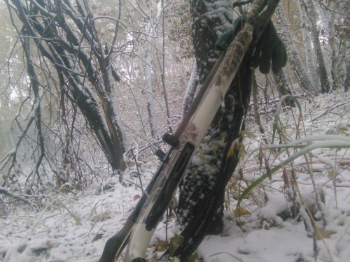 безопасное расположение оружияу и патронов на коротком  привале
