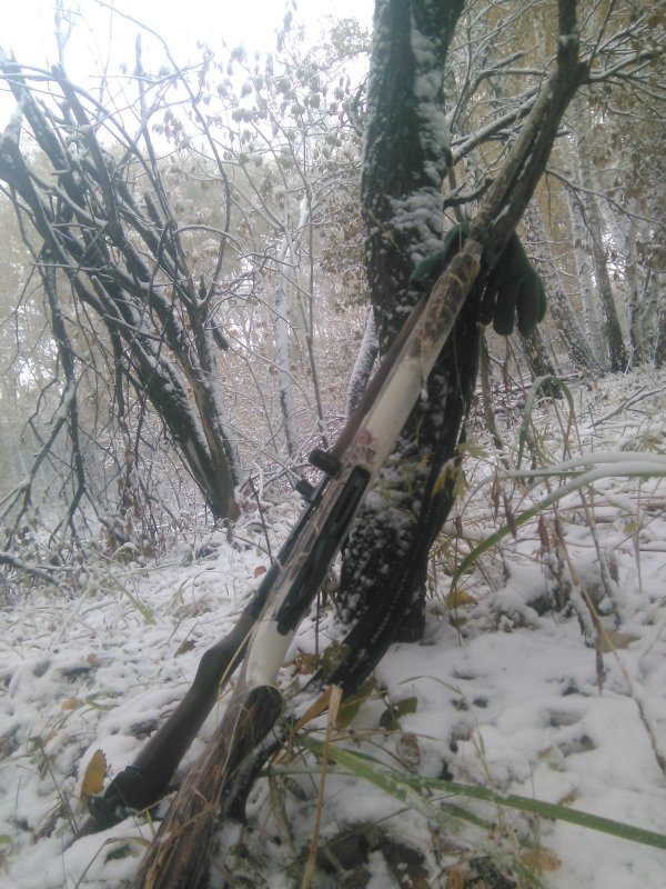 безопасное расположение оружияу и патронов на коротком  привале