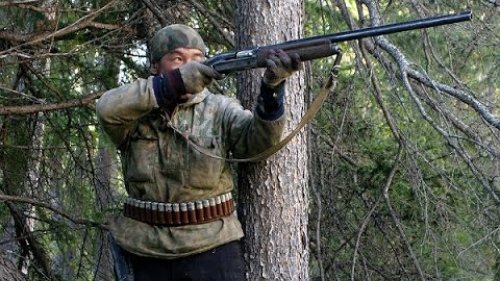 Охота на зайца с легавыми! Из цикла "Охотничьи истории"