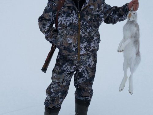 В околке