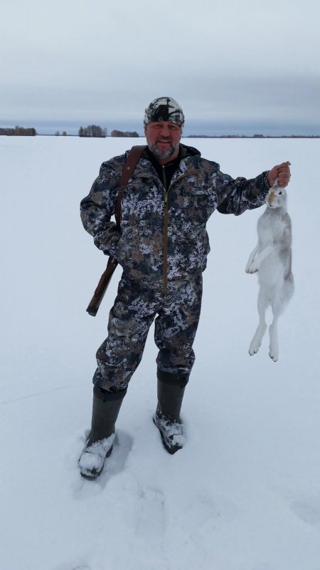 В околке