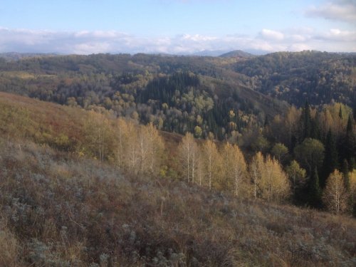 Золотая осень