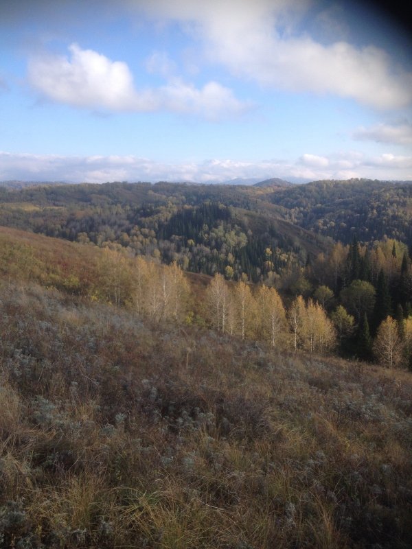 Золотая осень