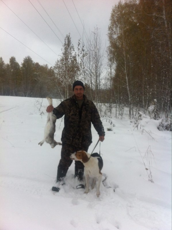 Зайка