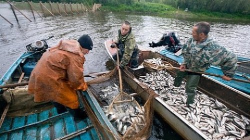Счастье рыболова.Рыбалка в местах бескрайнего Севера! Ловля тайменя, сига, щуки.