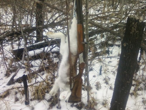 Сезон открыт.