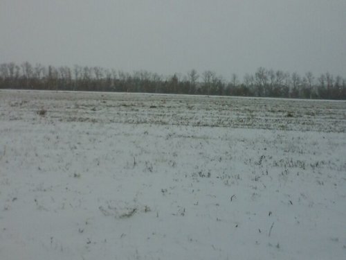 степь