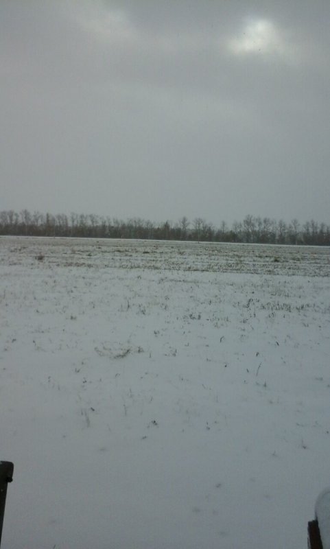 степь