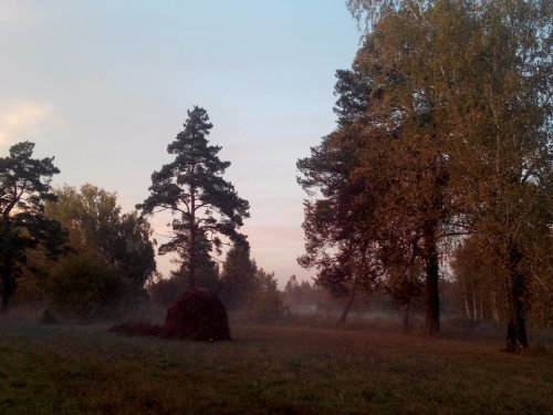 на закате