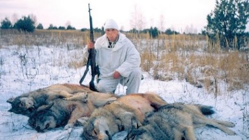Охота на волка! Часть 2