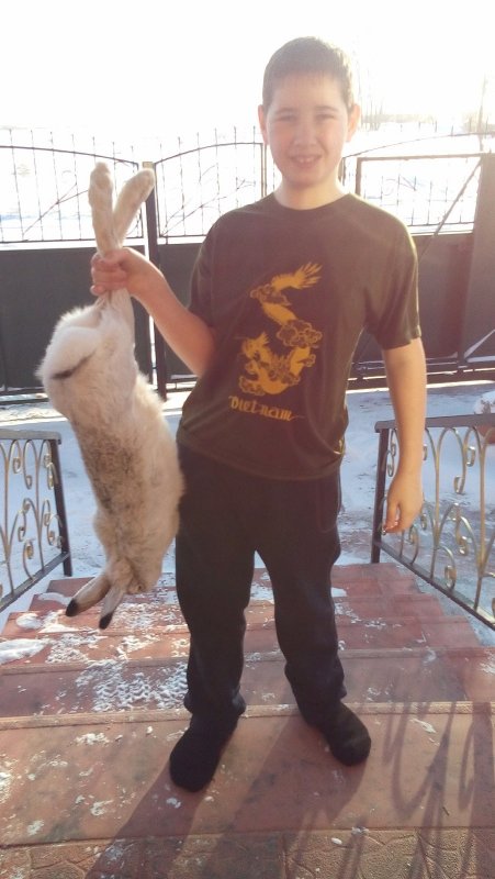 Зайчишка