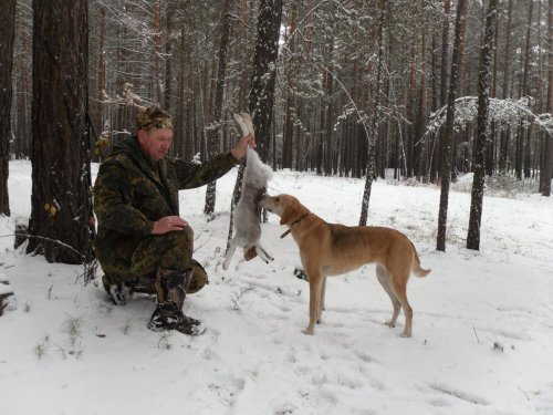 Помощница Гайда.