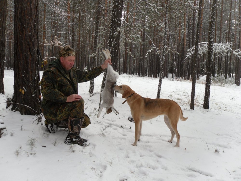 Помощница Гайда.