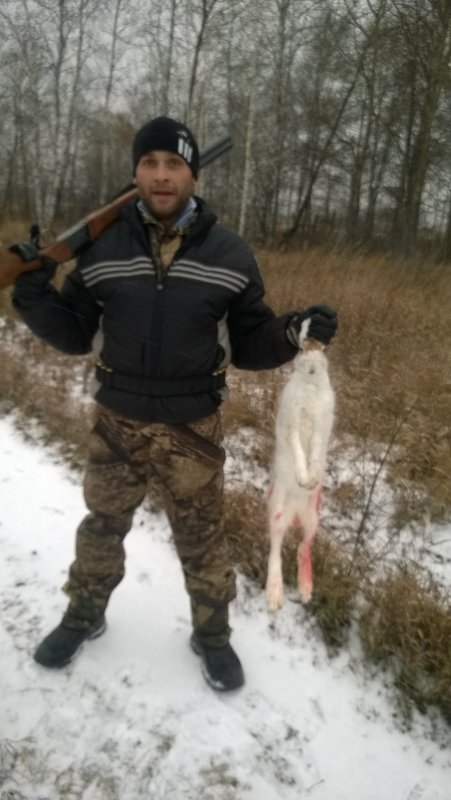 первый заяц