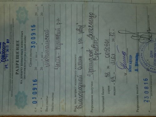 Лицензия