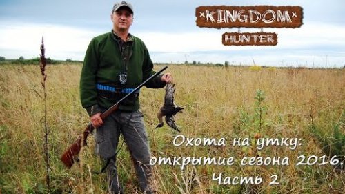 Охота на утку: открытие сезона 2016. Часть 2