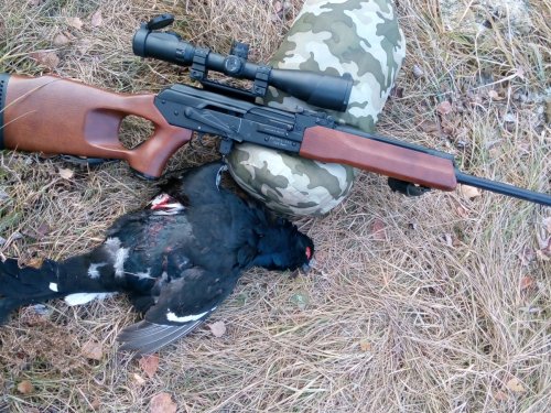 Начинаем зимние виды спорта.