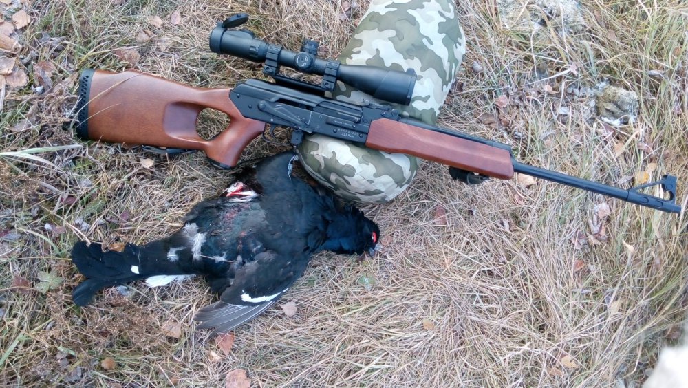 Начинаем зимние виды спорта.