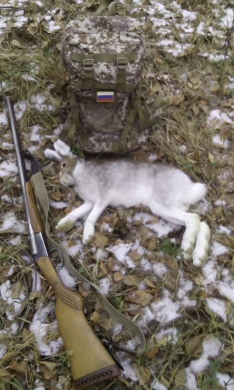 Нежданчик