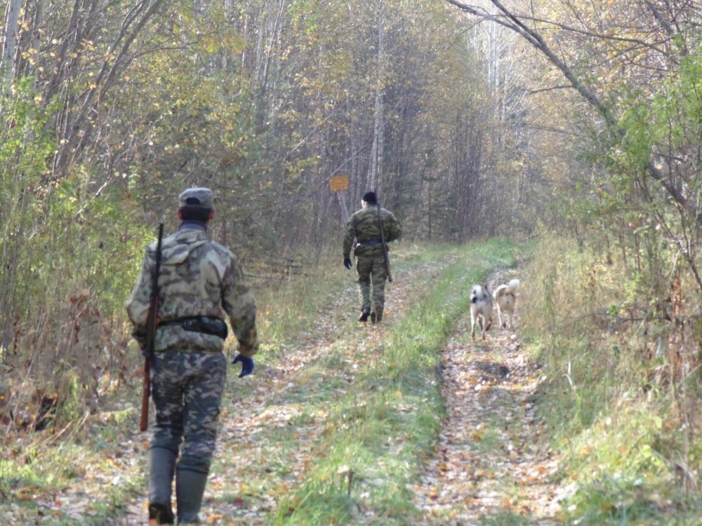 В поисках рябчиков