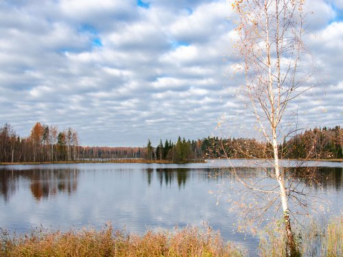 Релаксация.