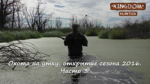 Охота на утку: открытие сезона 2016. Часть 3