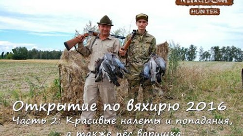 Открытие охоты по вяхирю 2016 Часть 2: Красивые попадания и налеты, а также пёс воришка.