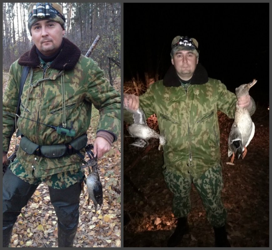 Чирок и кряква