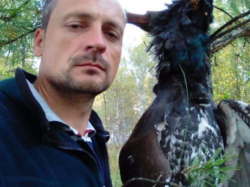 Теплый осенний день