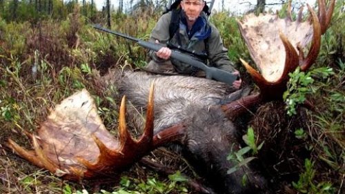 Охота на лосей! Из цикла "Охотничьи экспедиции"