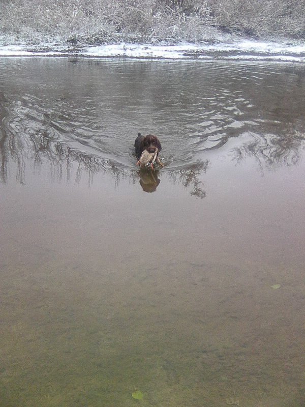 Помощник